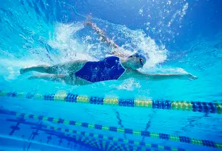 王逗逗泳衣在游泳池游泳时,女性游泳者穿着美国泳衣照片