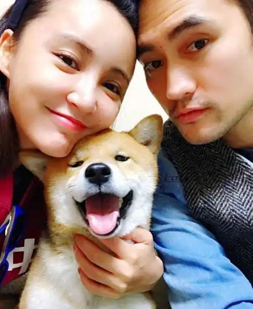 袁弘宣布张歆艺情人节产子,二姐回复亮了,刚生就准备要二胎?