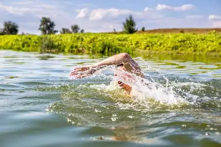 河里游泳的人图片