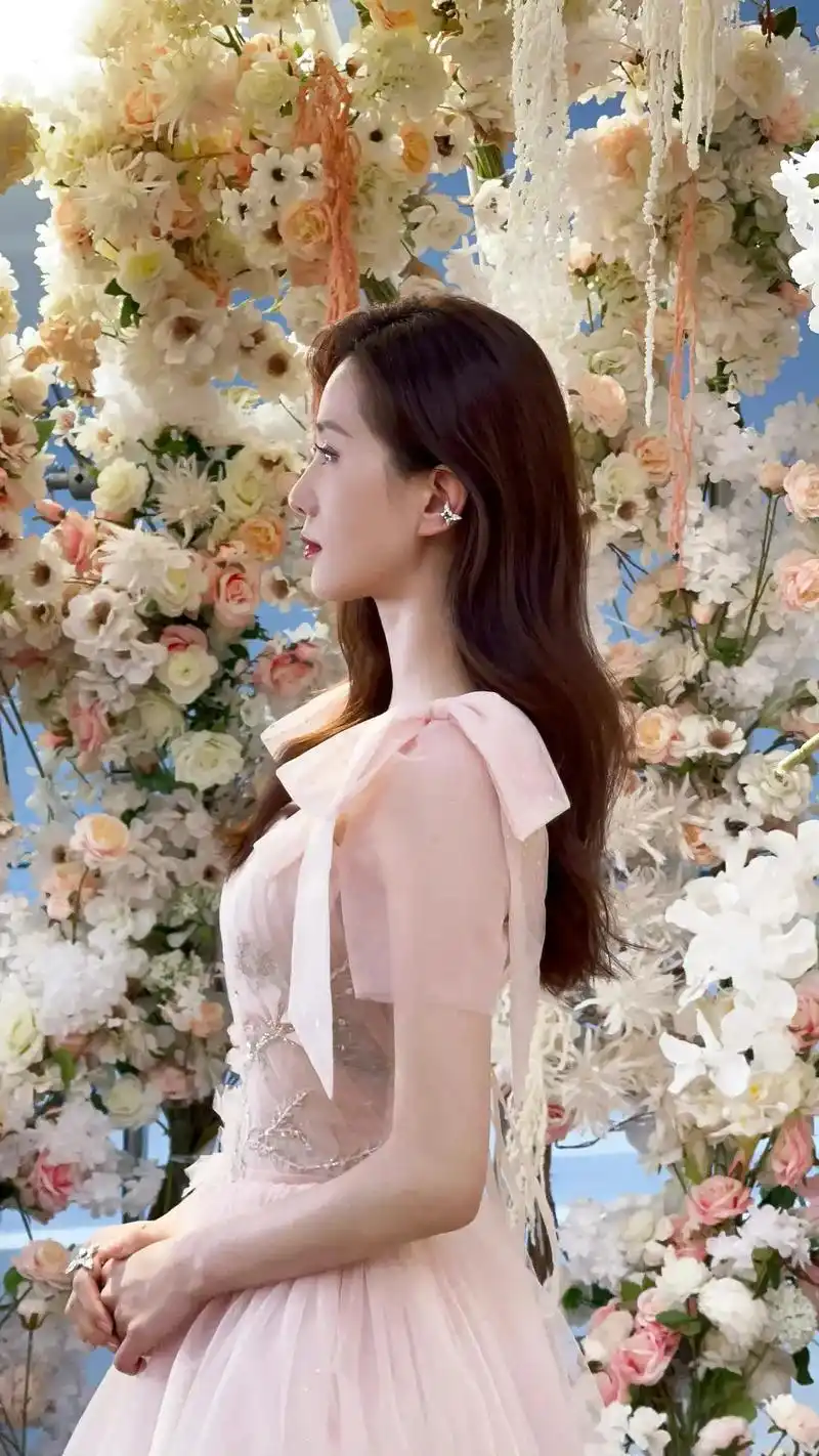 刘诗诗  侧颜杀 - 抖音