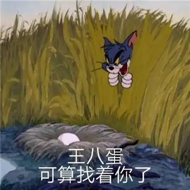 精致的又超级好看的一款表情呀,热门的聊天表情包一定不要错过赶快换