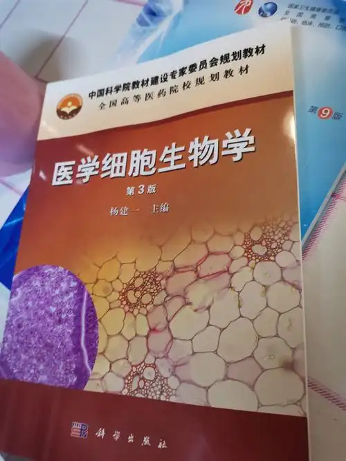 蓝色生死恋在哪里