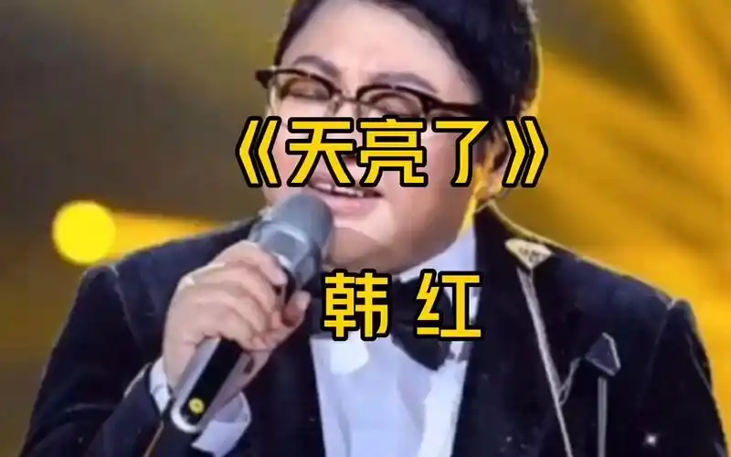 天亮了是韩红为了纪念汶川大地震写的歌