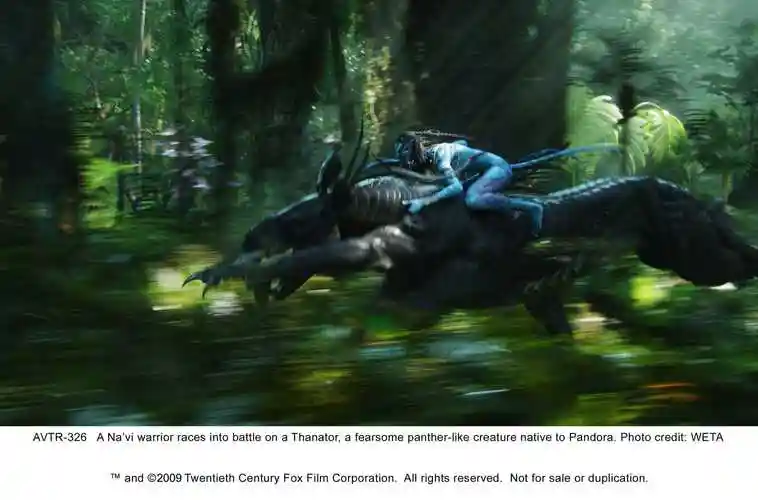 p>《阿凡达》 i>(avatar) /i>是一部由 a target="_blank" href="