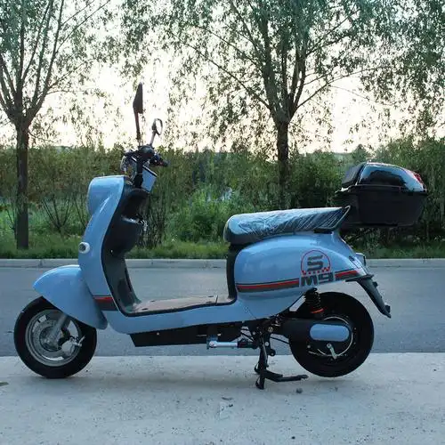 新国标电动车可上牌锂电高速电摩两轮踏板长跑王电瓶车48伏外卖车