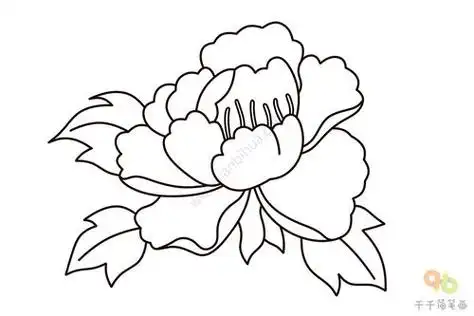牡丹简笔画牡丹花 - 搜狗图片搜索