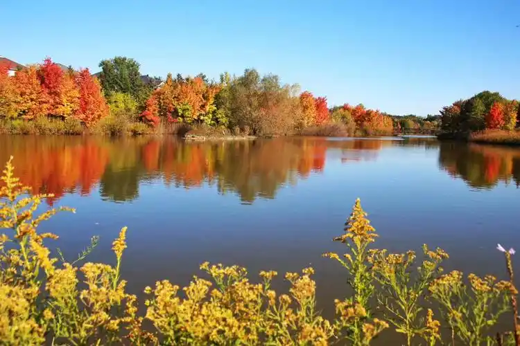 秋天来了,最美丽的风景在路上.