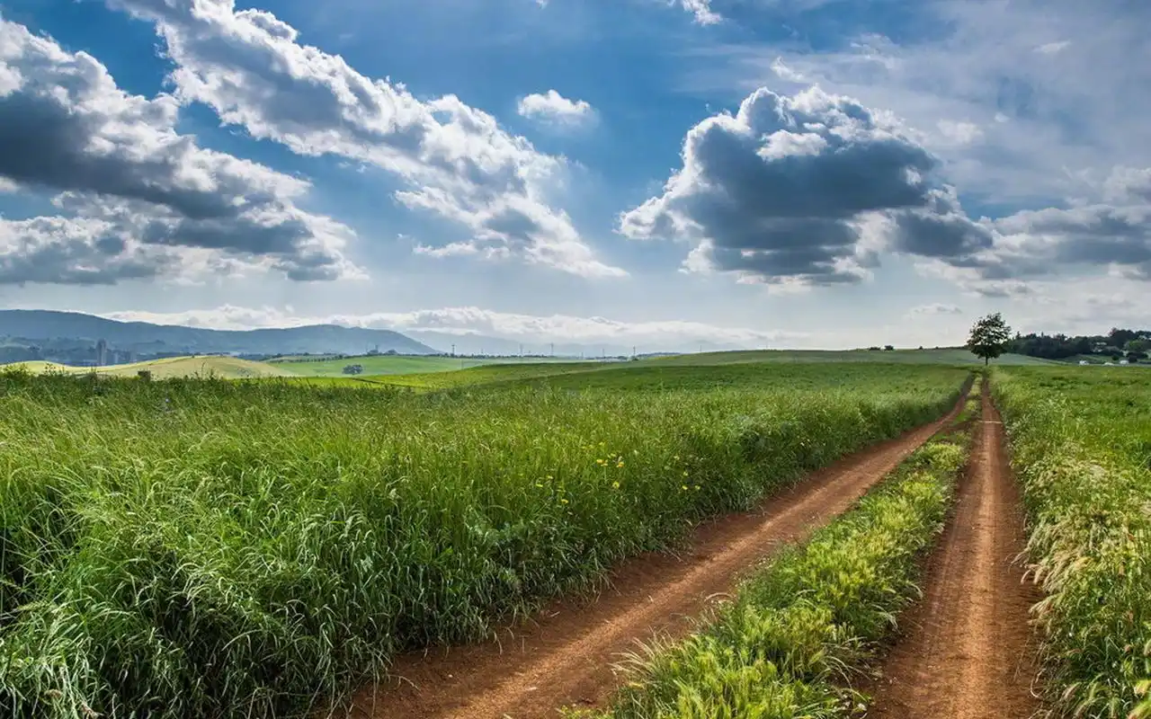 唯美迷人的自然风景桌面壁纸