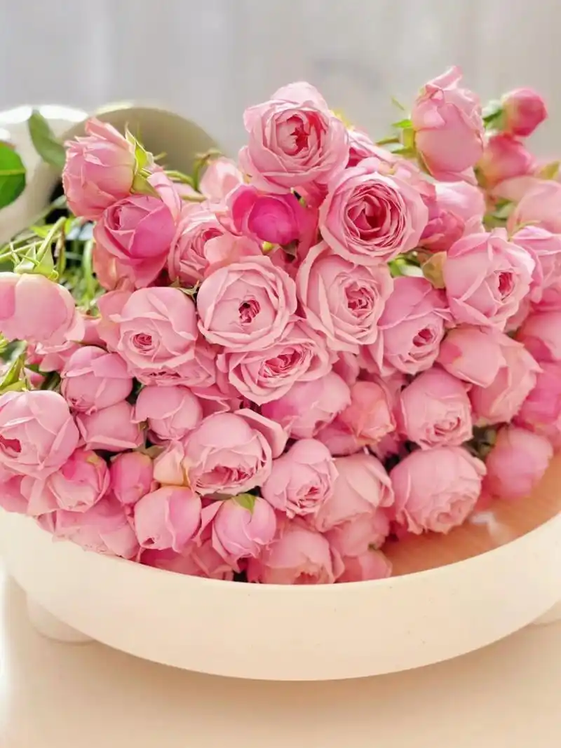 960_1280竖版 竖屏