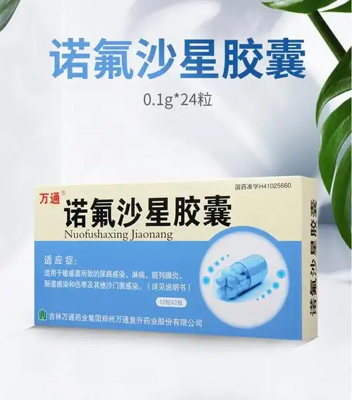 万通 诺氟沙星胶囊 0.1g*24粒 10盒【图片 价格 品牌 报价】-京东