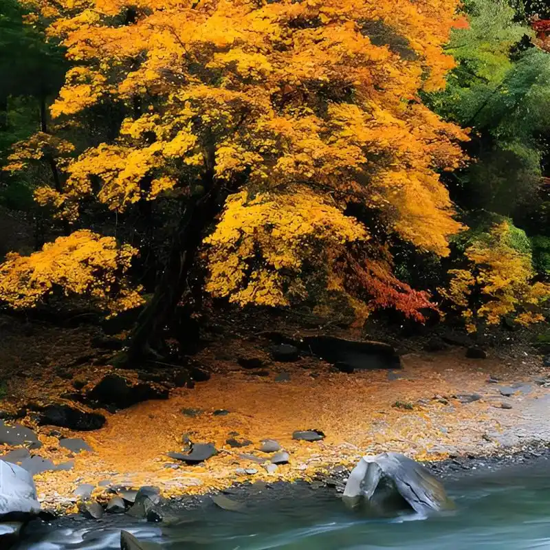 风景头像02微信02大自然 98友友们,我发现了一些超美的大自然