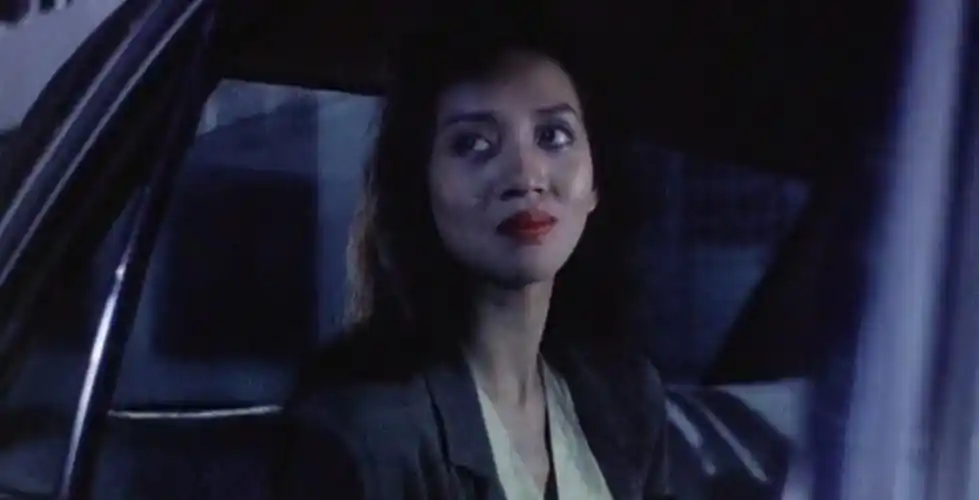 英雄本色3:夕阳之歌