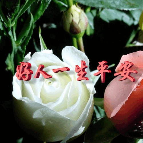 虽然我不曾有温暖的家,但是我一样渐渐的长大,明白了很多人生的道理!