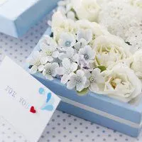 高雅书和花朵头像_微信头像图片大全