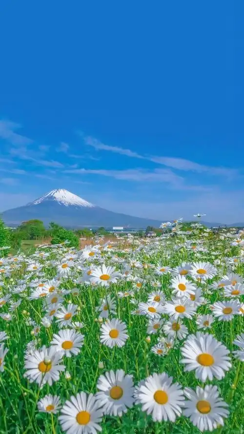 精选蓝色系壁纸,温柔的蓝色让人心情平静