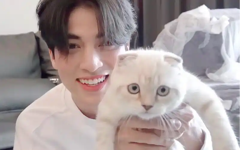 【gulf kanawut】大可爱新养了一只小可爱(又是羡慕猫咪的日常 即将