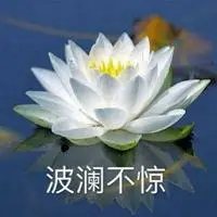 美丽唯美的荷花带文字头像心如止水