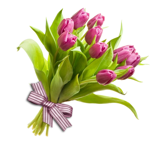 【免抠素材】png美丽的花素材