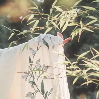 清冷古风女头像,高清唯美的清冷古装汉服女头图片_女生头像_头像屋