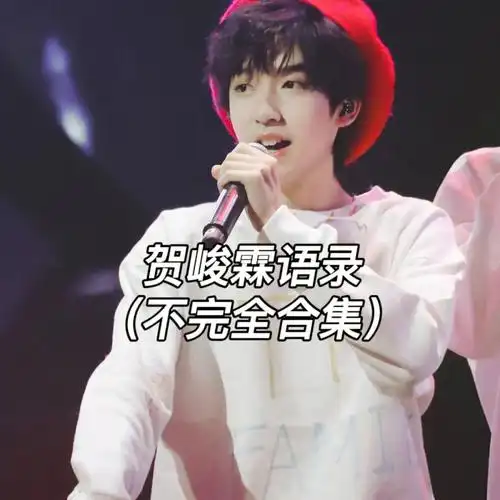 贺峻霖语录不完全合集