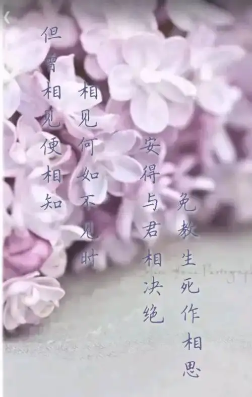 用心爱过的人不能在一起便会相思入骨思念入髓