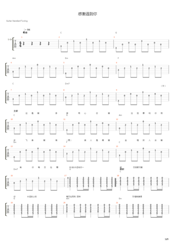 感激遇到你(双吉他弹奏)