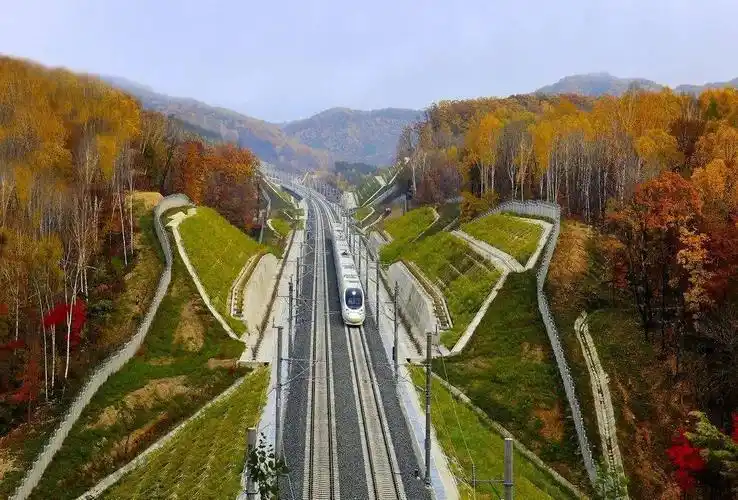 向广大旅客发布加开动车开行车次和时间,展示东北最美高铁的服务品质