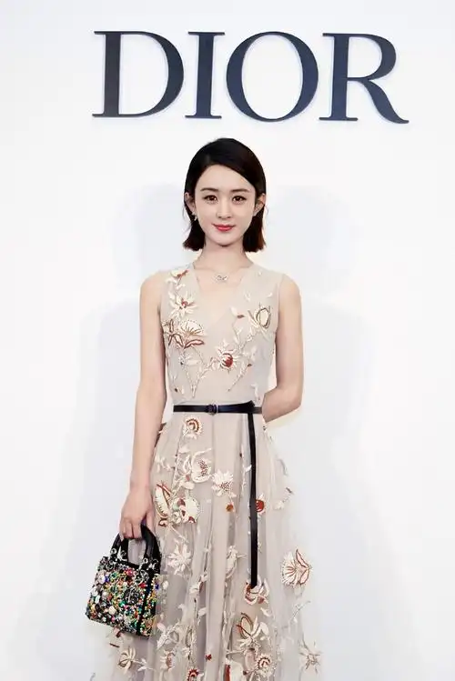 赵丽颖 迪奥艺术家合作系列经典与灵感的碰撞dior lady art#2揭幕酒会