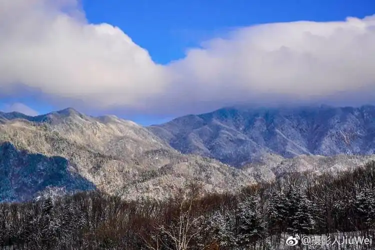 这是什么神仙颜值?我能想到最美的春天全在洛阳这里了!