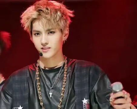 图exo图片吴亦凡图片展现高冷范国内演艺广告事业节节开花