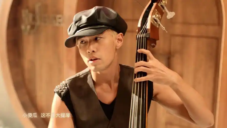 比较大的大提琴