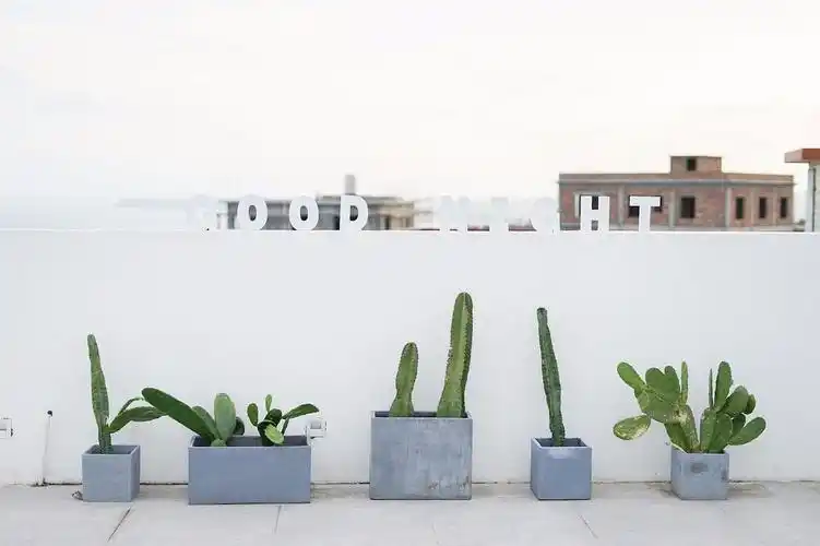 拒绝厦门,镇海角坐拥美过台湾的小众海景,还藏了间ins风网红民宿.