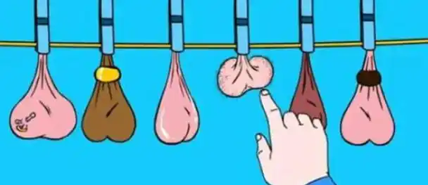 知识丨男生的蛋蛋到底有多重