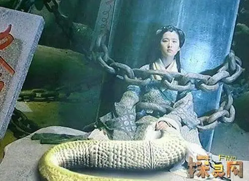 女娲真身吓人图片恐怖的人头蛇身怪蛇或是人的祖先