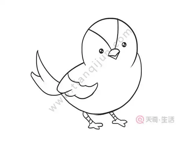 小鸟简笔画 小鸟怎么画