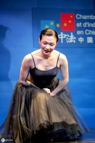 著名女主持人金星,一个有故事的女人-搜狐大视野-搜狐新闻