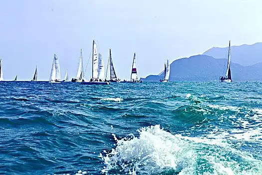 大鹏,海边,帆船,帆船赛
