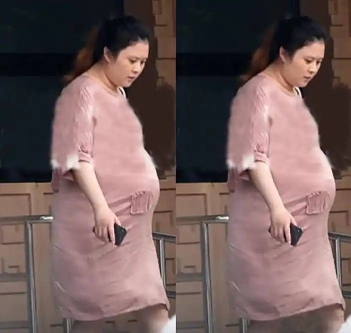 沈腾的老婆王珂孕肚照曝光,预产期将至