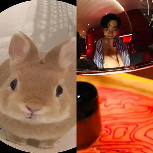 有种可爱叫肖战和兔子比呆萌粉丝立马收藏为表情包