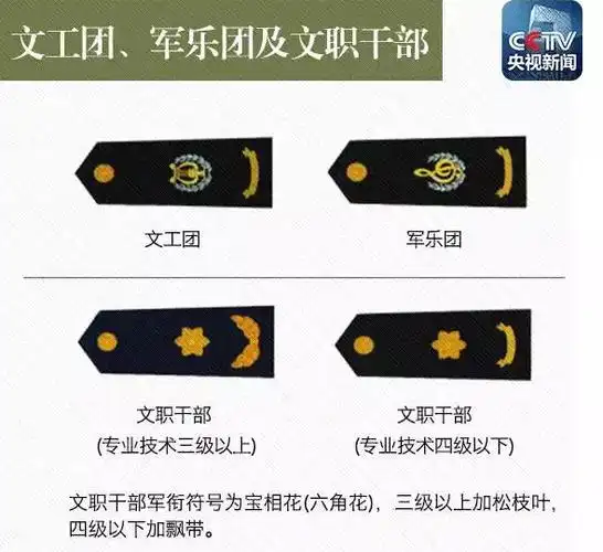 十人晋升上将 帮你看懂解放军军衔[组图]_海口网