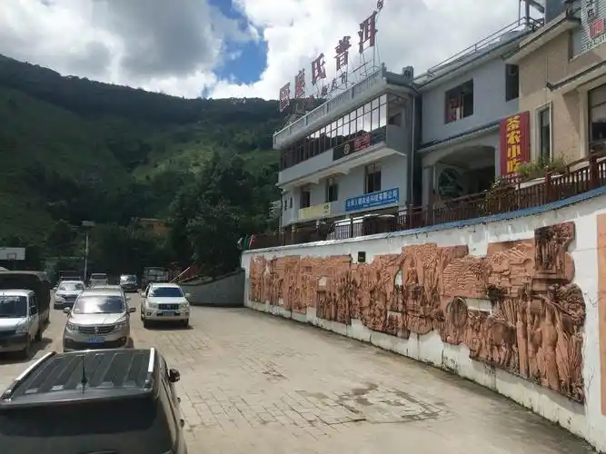 冰岛老寨寻茶记