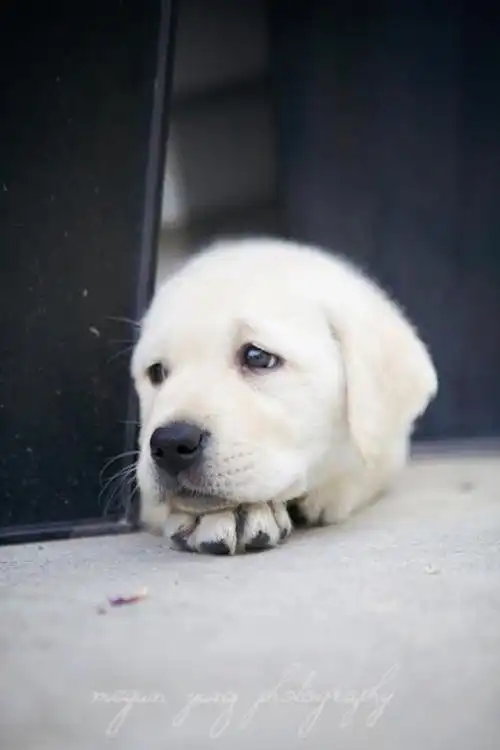 今天偶忧郁了,让我一个人呆着好吗
