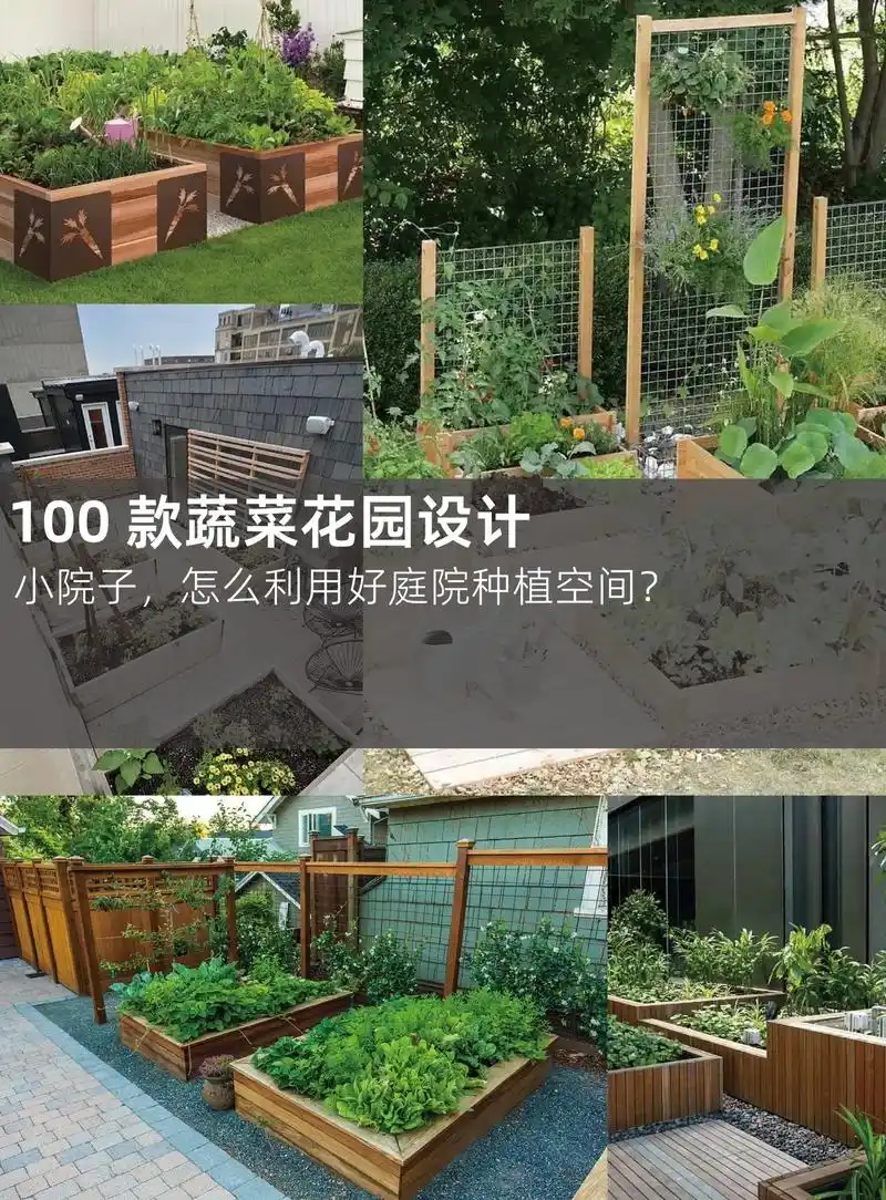 小院子,怎么做菜园.#别墅庭院花园效果图 #庭院设计施工 # - 抖音