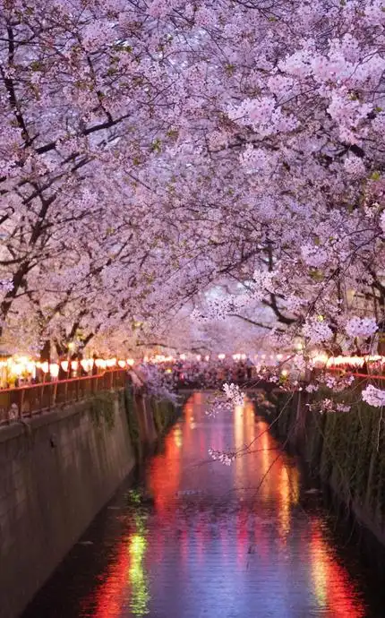 日系ins壁纸日系ins背景图竖屏