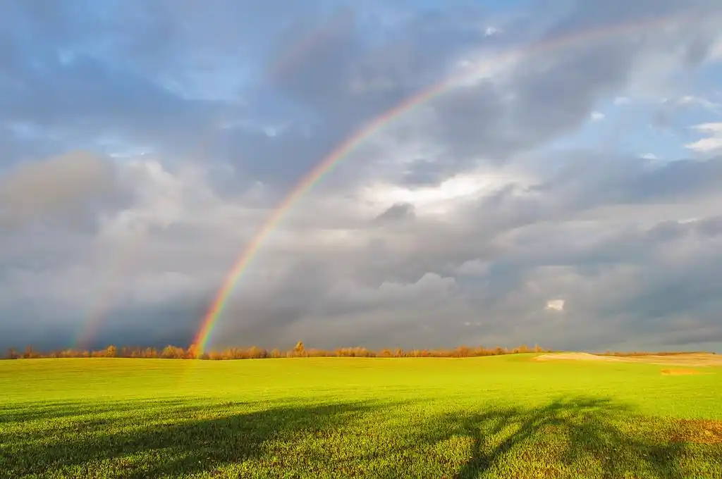 双彩虹,双彩虹在字段与乌克兰克里米亚,绿草