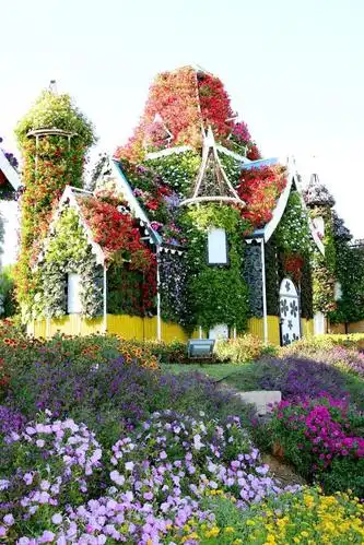 光景美图分享62:奇迹花园(迪拜)世界上最美与最大的花园