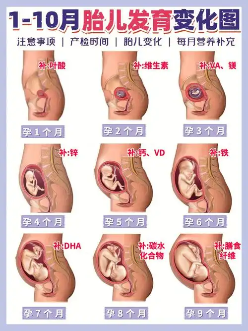 15更多孕期小知识参考之前分享哦#孕期知识  #孕期注意事项  #胎儿