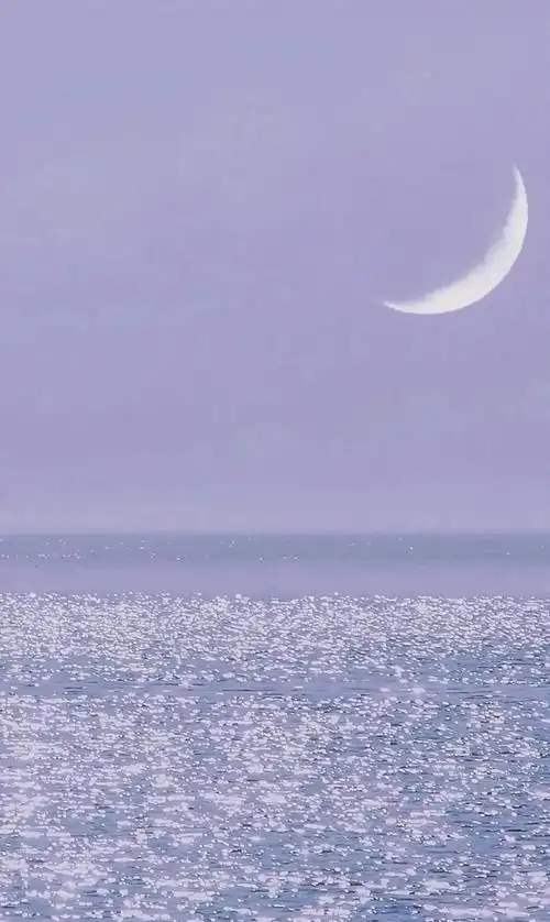 2021最火的淡雅简约风背景图