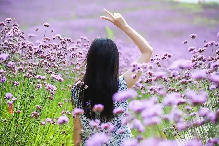 原创沿着《失孤》中刘德华走过的"9道拐",能把你带入一片绝美花海