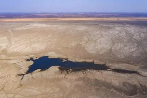 湖泊干涸动物垂死挣扎这些令人震惊的照片告诉你干旱带来了什么